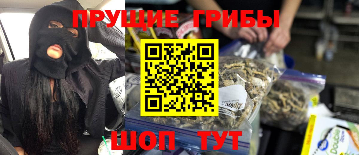 Псилоцибиновые грибы Psilocybe Джанкой